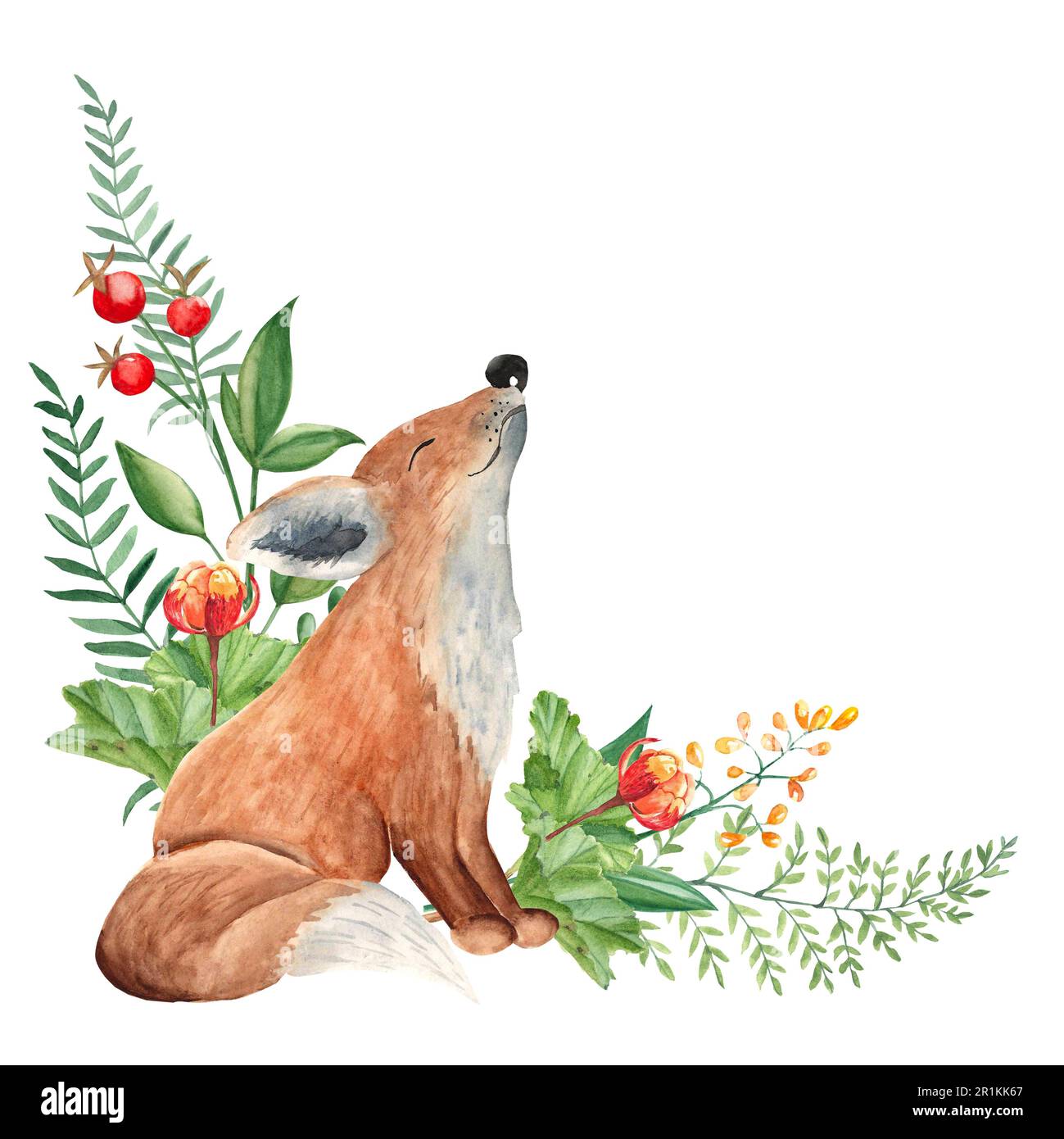 Renard mignon, myrtille, branches vertes, baies rouges et fleurs sauvages, composition en coin. Aquarelle illustration dessinée à la main isolée sur blanc Banque D'Images