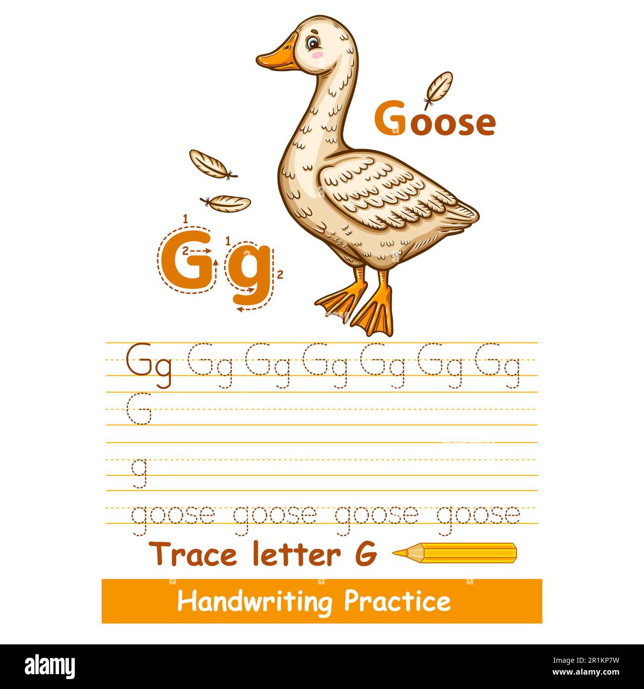Lettre de trace de l'alphabet G pratique du vocabulaire de l'écriture, mignon oiseau de ferme de canard d'oie. Drake agriculture caractère animal. Tâches d'écriture ABC pour enfants. Vecteur Illustration de Vecteur