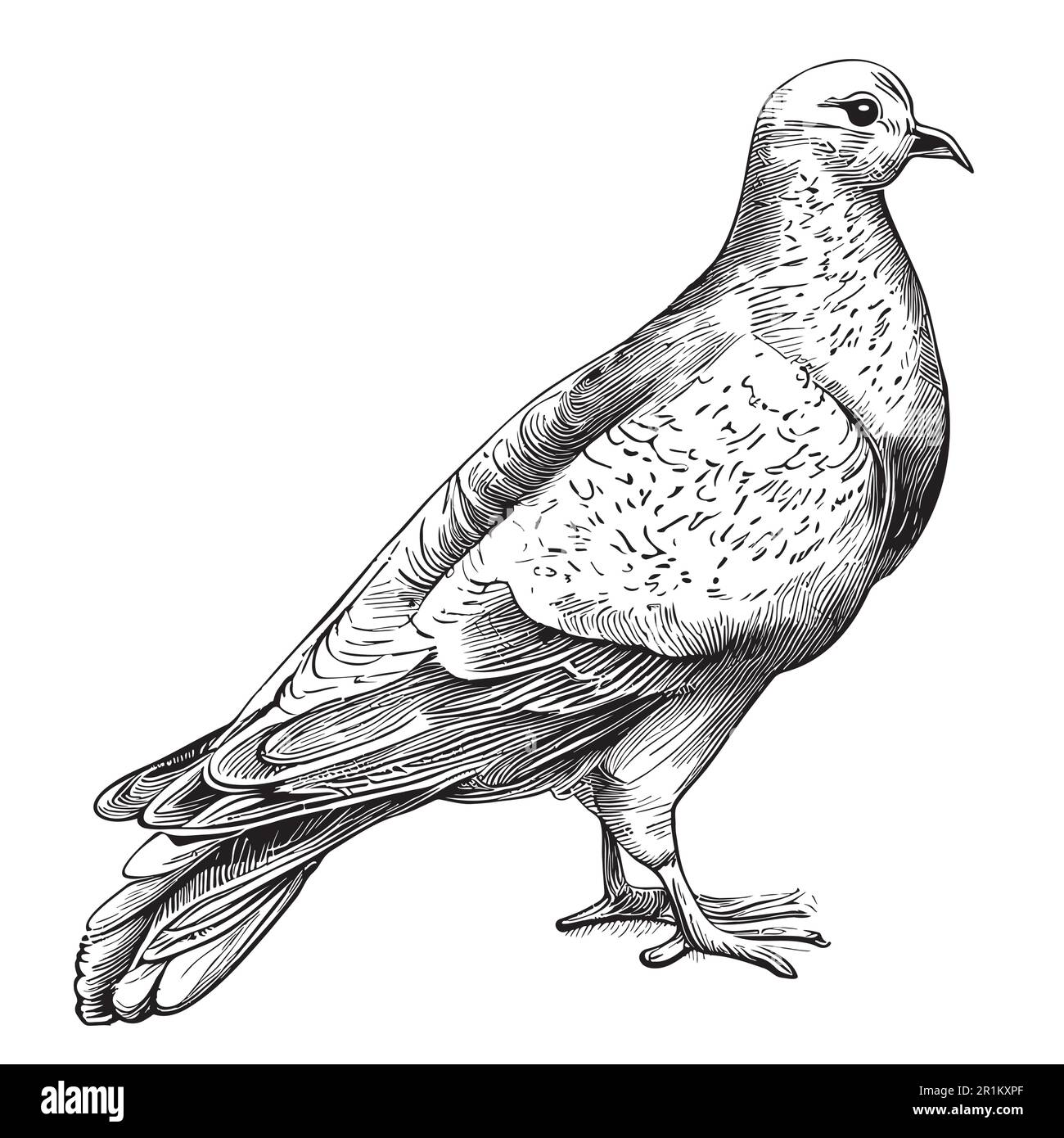 Dessin main Dove of Peace dans une illustration de style doodle Illustration de Vecteur