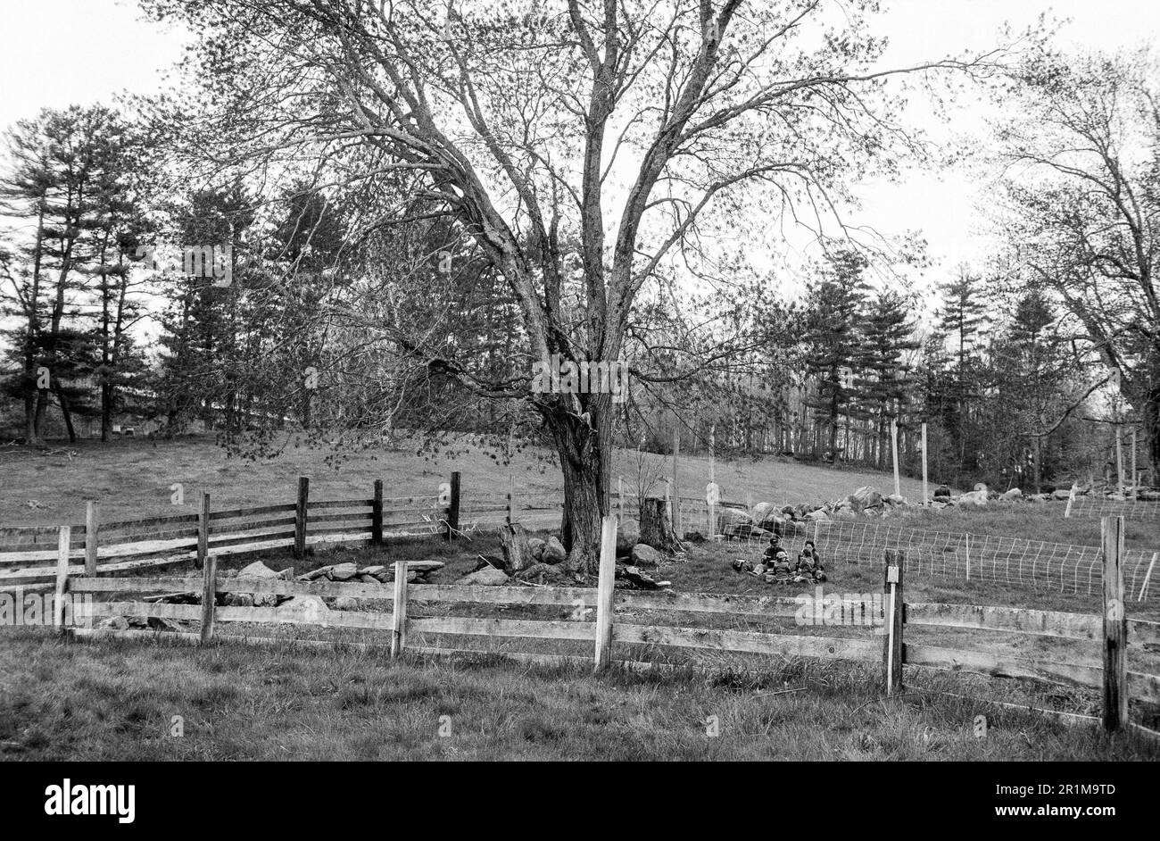 Coppal House Farm - Lee, New Hampshire - avril 2023. Une famille de quatre personnes se trouve sur le terrain pour pique-niquer dans une petite zone herbeuse entourée d'escrime Banque D'Images