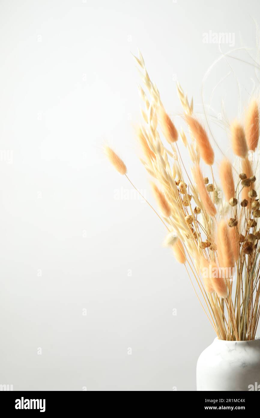 Fleurs séchées dans un vase sur fond clair Banque D'Images