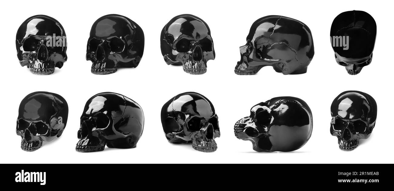 Ensemble avec des modèles de crâne humain noir sur fond blanc. Bannière Banque D'Images