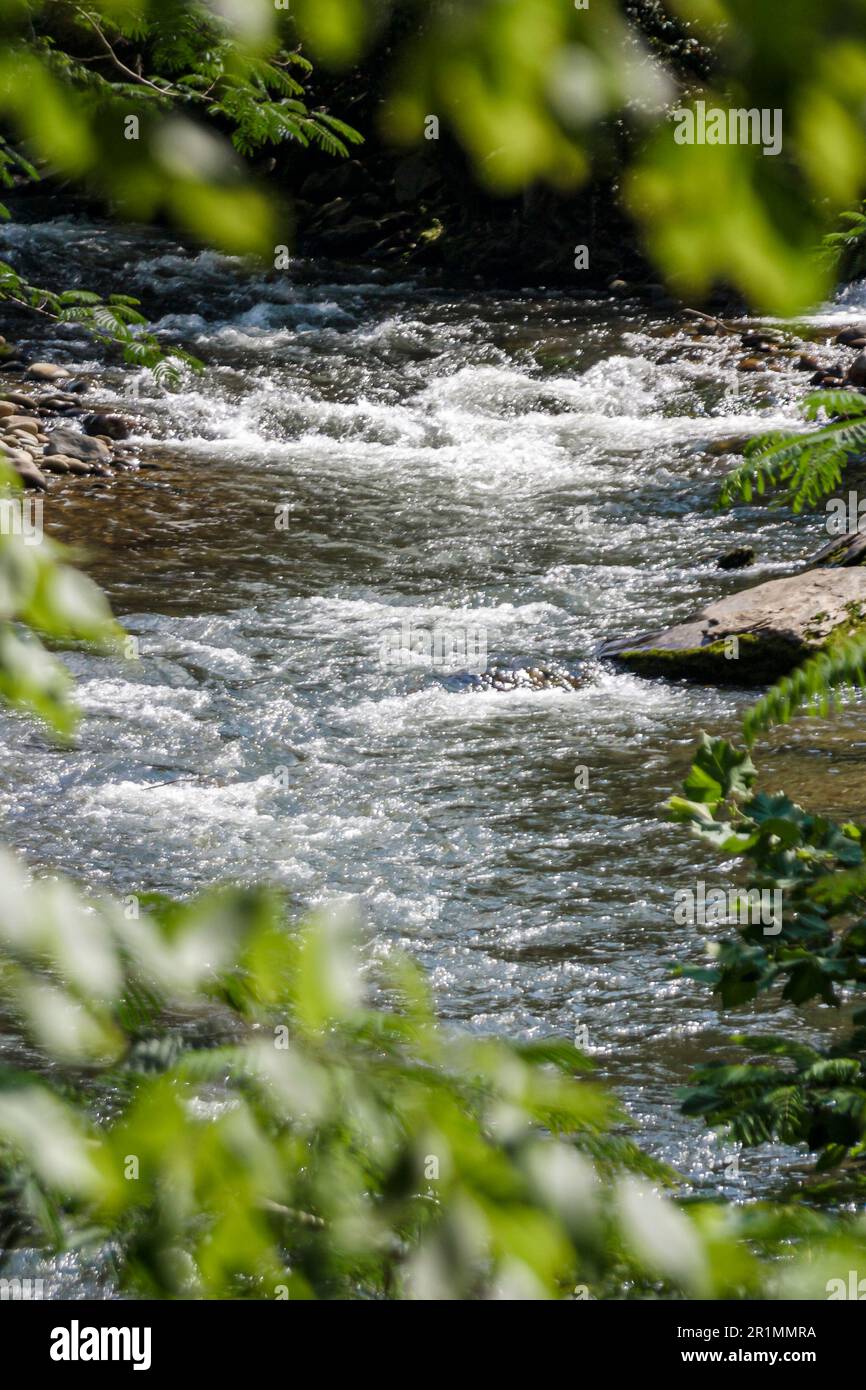 Parc national des Great Smoky Mountains du Tennessee, nature paysage naturel eau Whitewater creek rivière rochers, Banque D'Images
