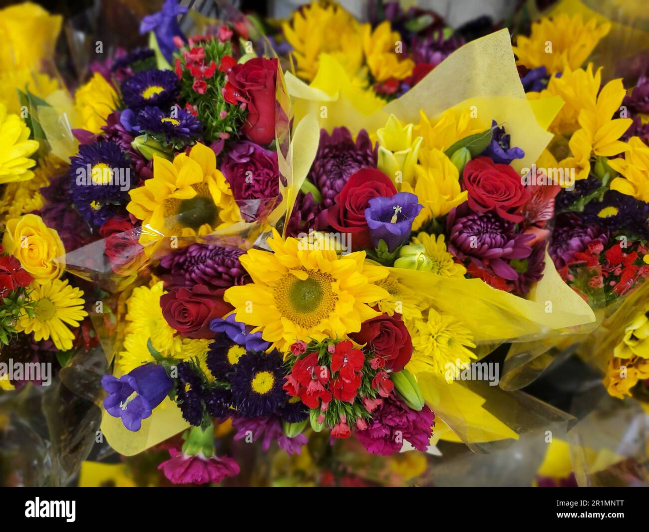 La variété de roses rouges, de chrysanthème pourpre et jaune sur un bouquet de fleurs Banque D'Images