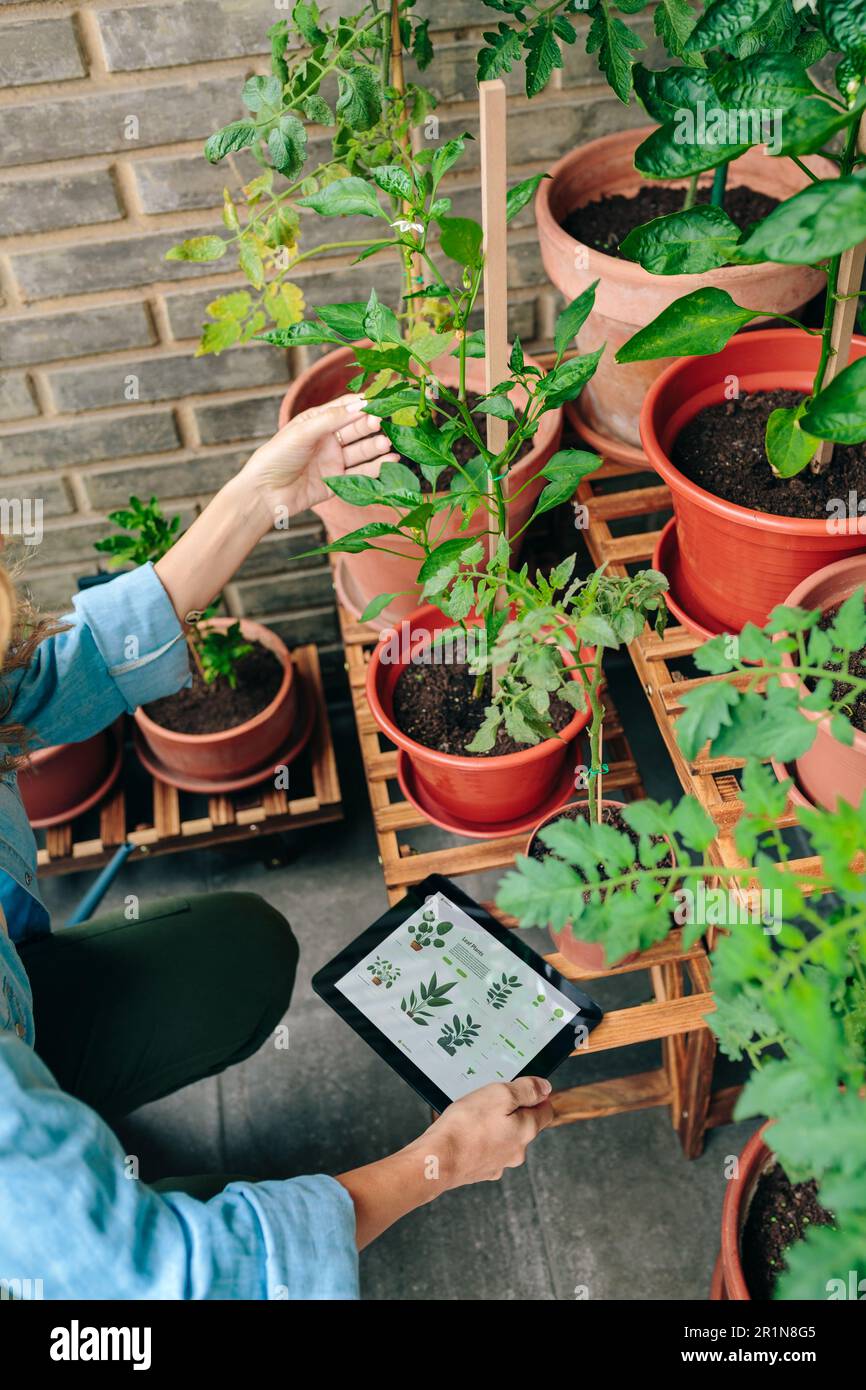 Jardinage ai intelligence artificielle Banque de photographies et d’images à haute résolution