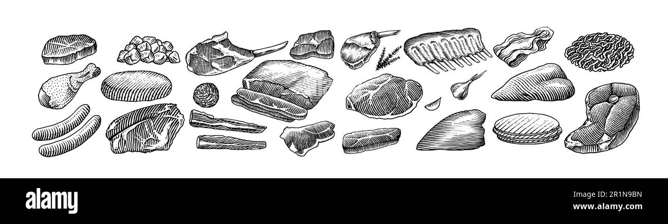 Produits à base de viande rouge. Bœuf de veau, côtes, bacon, jamon, mortadelle, Bœuf à l'agneau Steak, saucisse de porc, cuisses de poulet, sirloin, boucherie au brisket tirée à la main Illustration de Vecteur