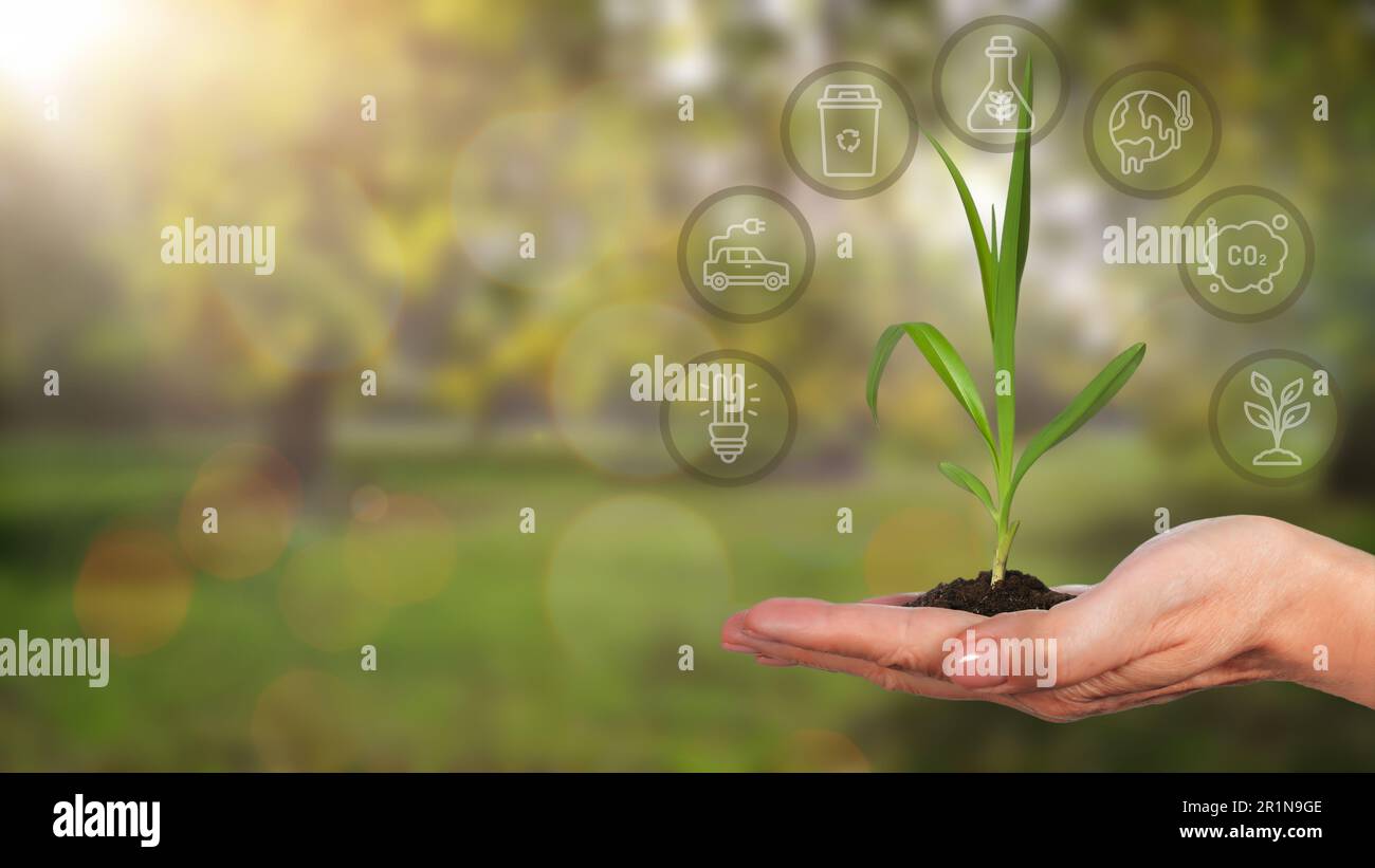 Main de femme avec sprint sur fond vert de nature avec des éco-symboles. Concept de sauvegarde de la nature et de protection de l'environnement. Banque D'Images