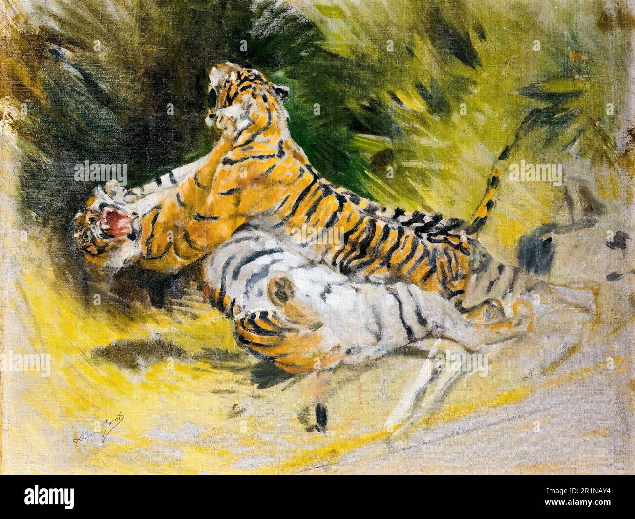 Aime Morot, deux tigres luttant, peinture avant 1913 Banque D'Images
