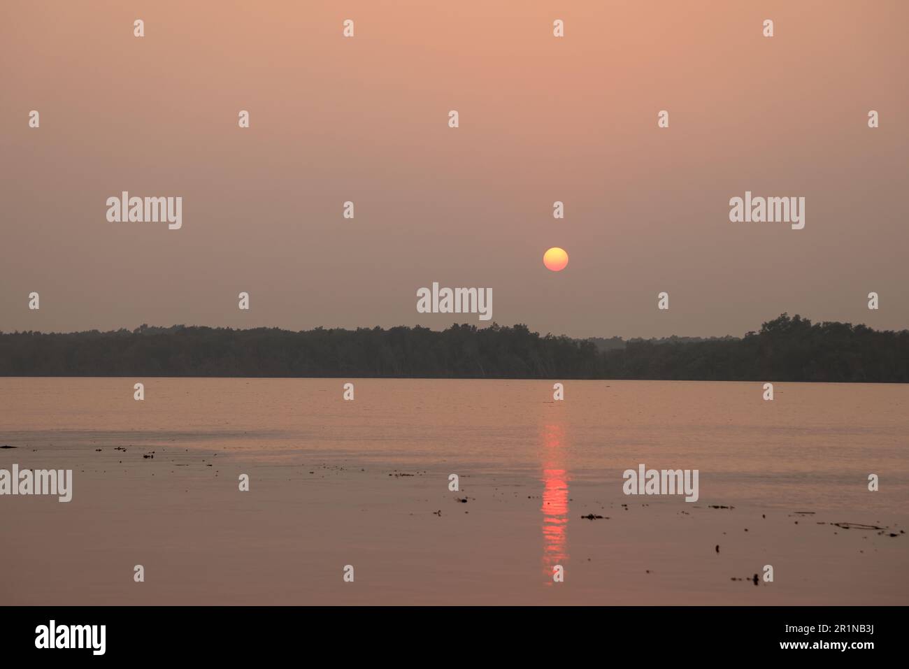 Cette photo a été prise dans le parc national de Sundarbans, au Bangladesh. Banque D'Images