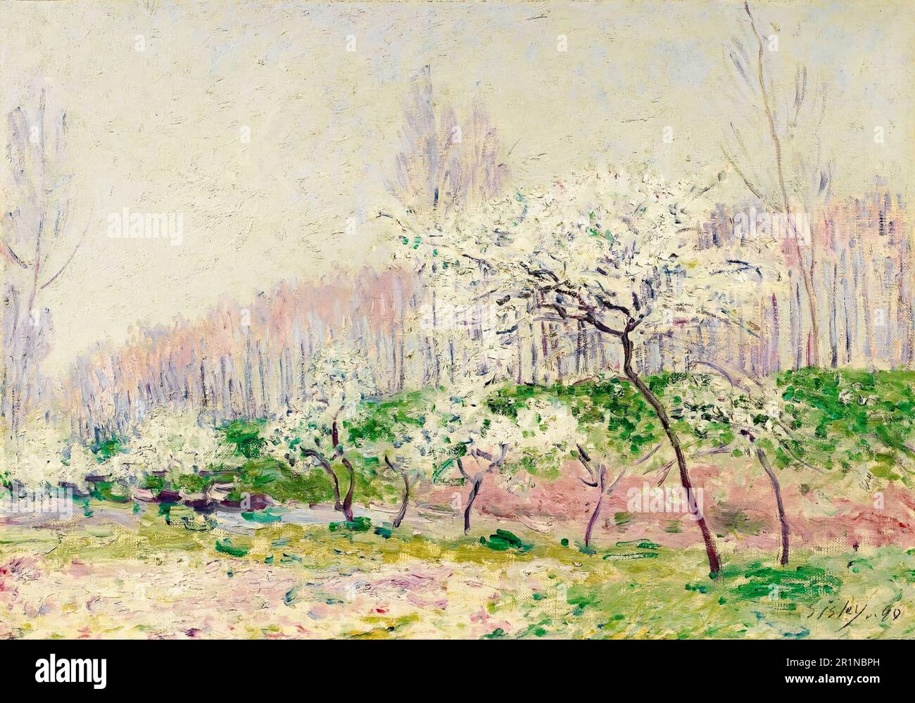 Les Pommiers en fleurs, (fleurs de pommiers), peinture paysagère d'Alfred Sisley, 1890 Banque D'Images