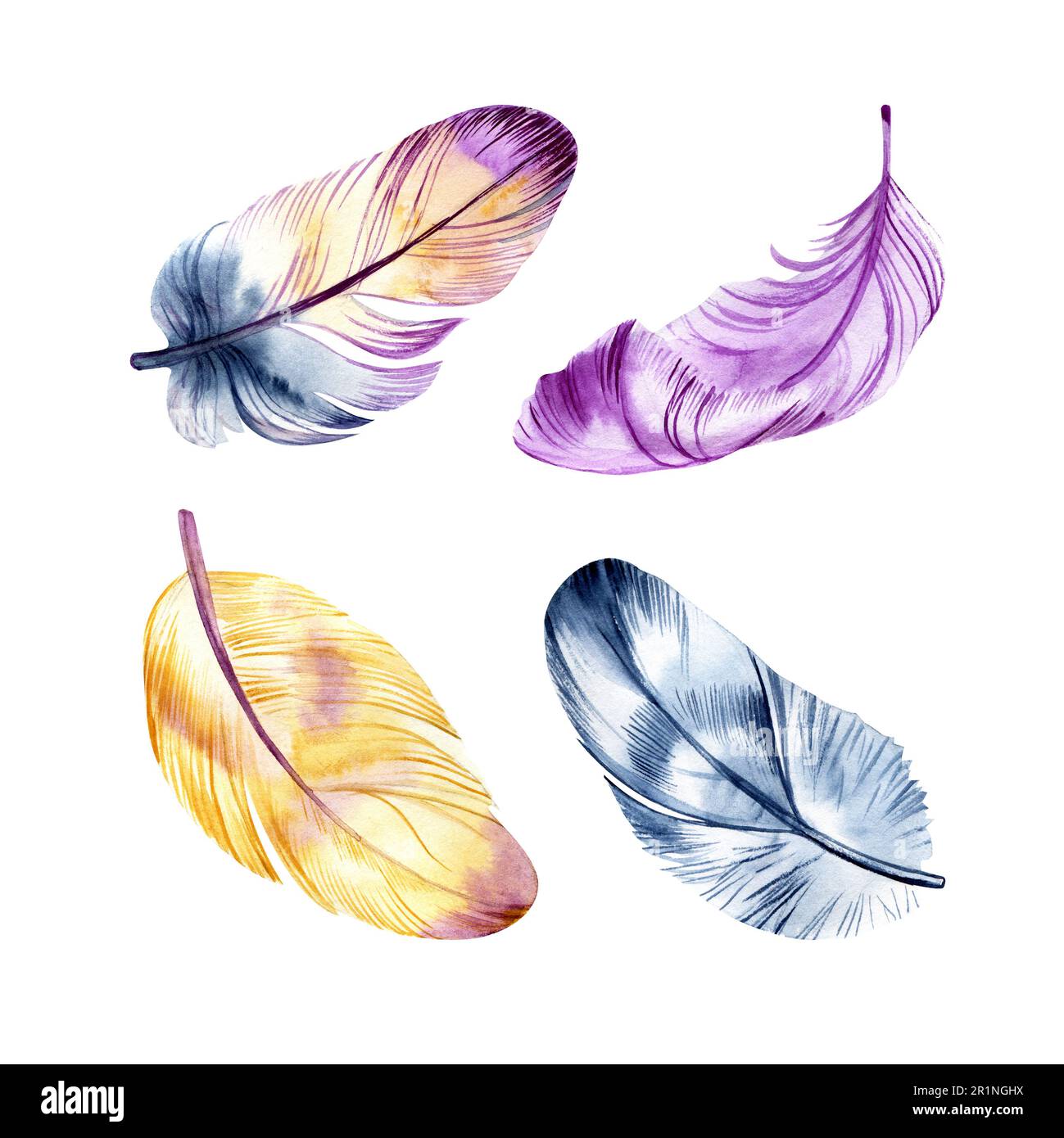 Ensemble de plumes vibrantes à motif aquarelles dessinées à la main. Ailes de style boho. illustration isolée sur blanc. Motif oiseau pour t-shirt, invitation Banque D'Images