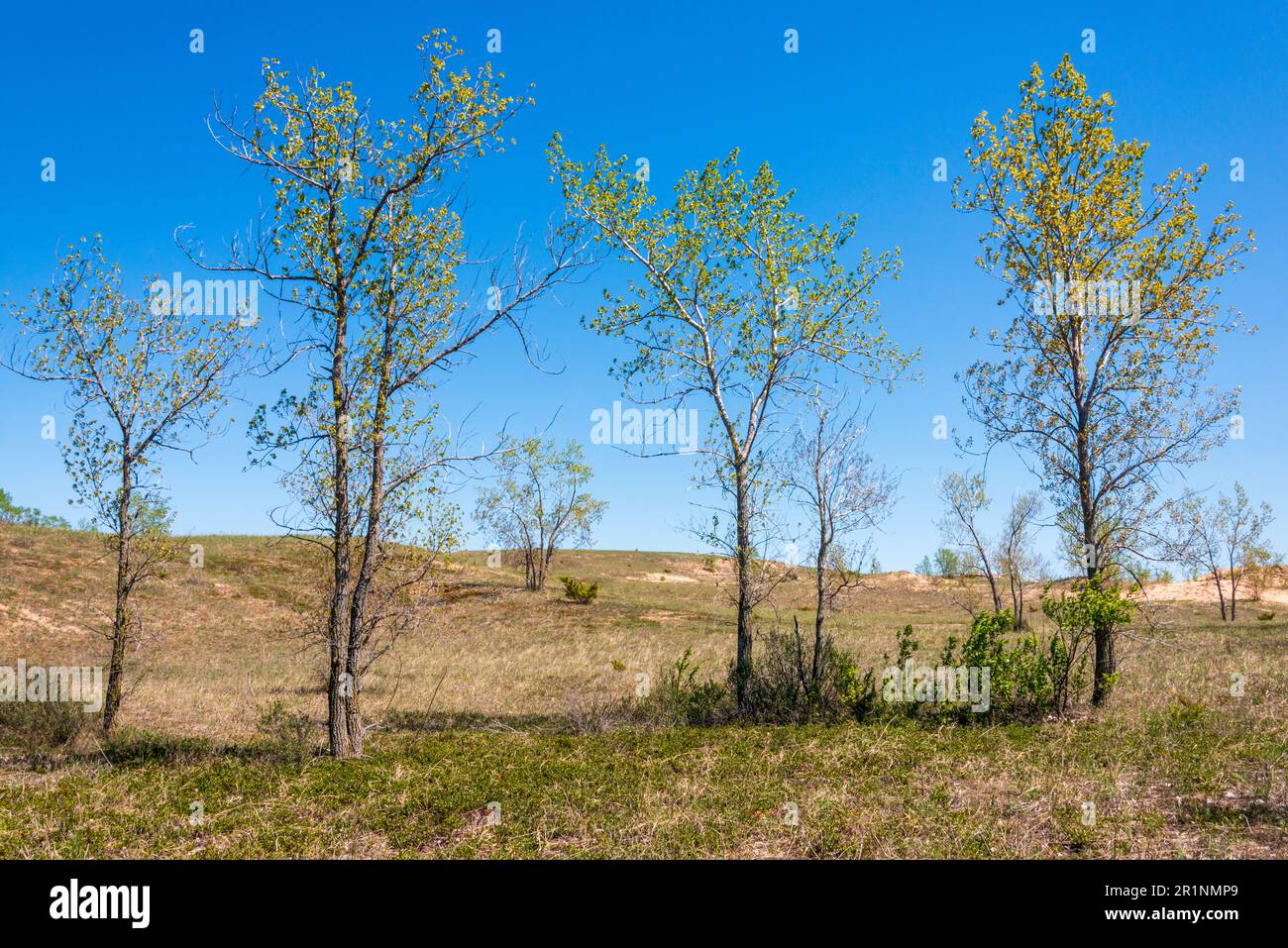 Sleeping Bear Dunes National Lakeshore au Michigan Banque D'Images