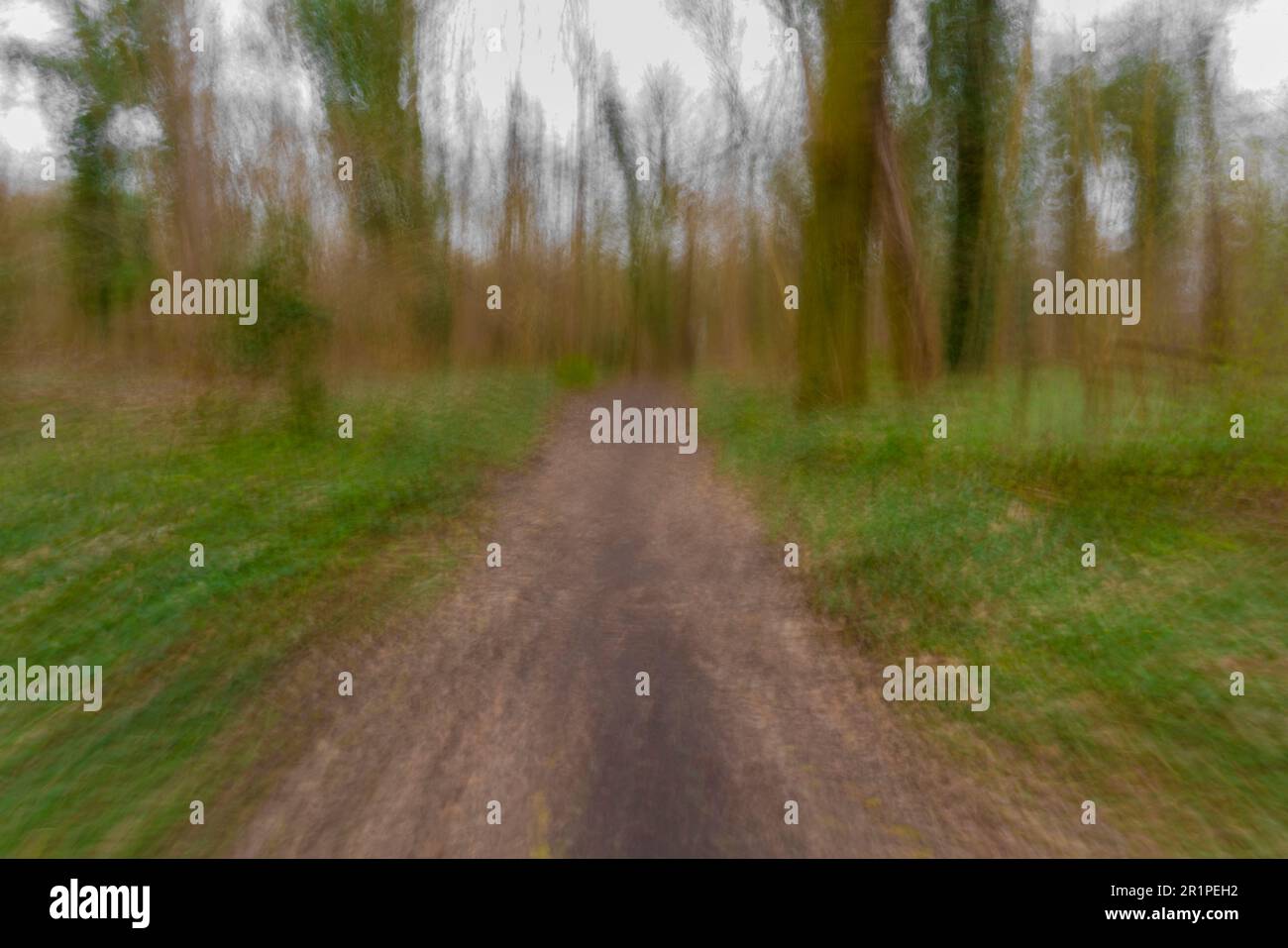 Chemin forestier pour randonneurs du point de vue d'une personne ivre, vue floue, abus d'alcool Banque D'Images