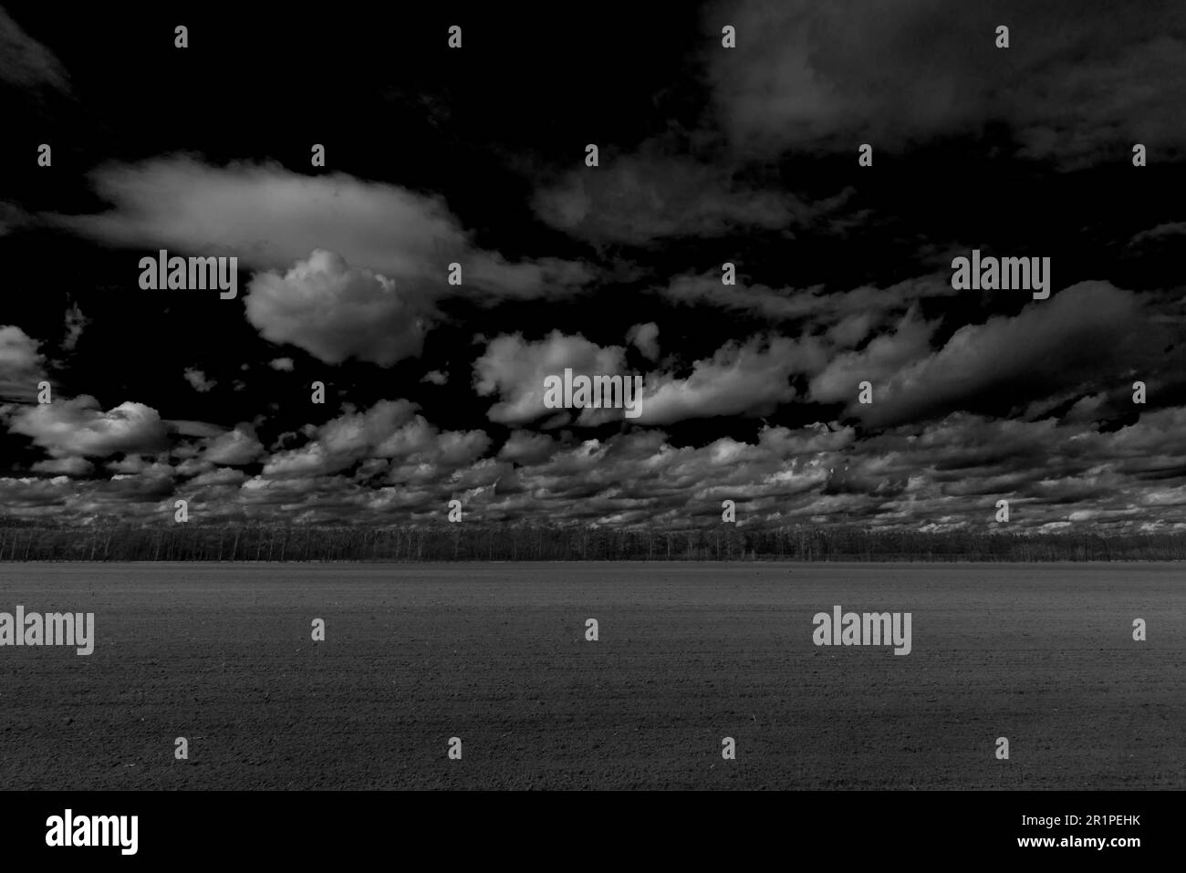 Zone agricole au printemps, beaux nuages de pluie dans le ciel, photographie en noir et blanc Banque D'Images