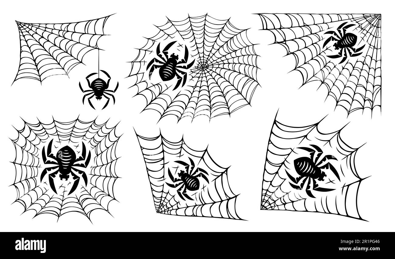 Toile d'araignée isolée. Ensemble toile d'araignée. Illustration du concept Halloween Banque D'Images