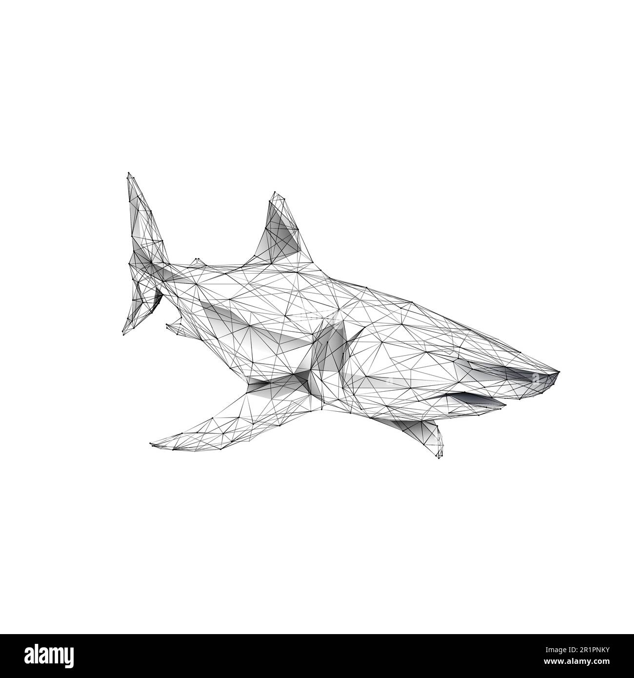 Le grand requin blanc isolé sur fond blanc. Illustration de Vecteur