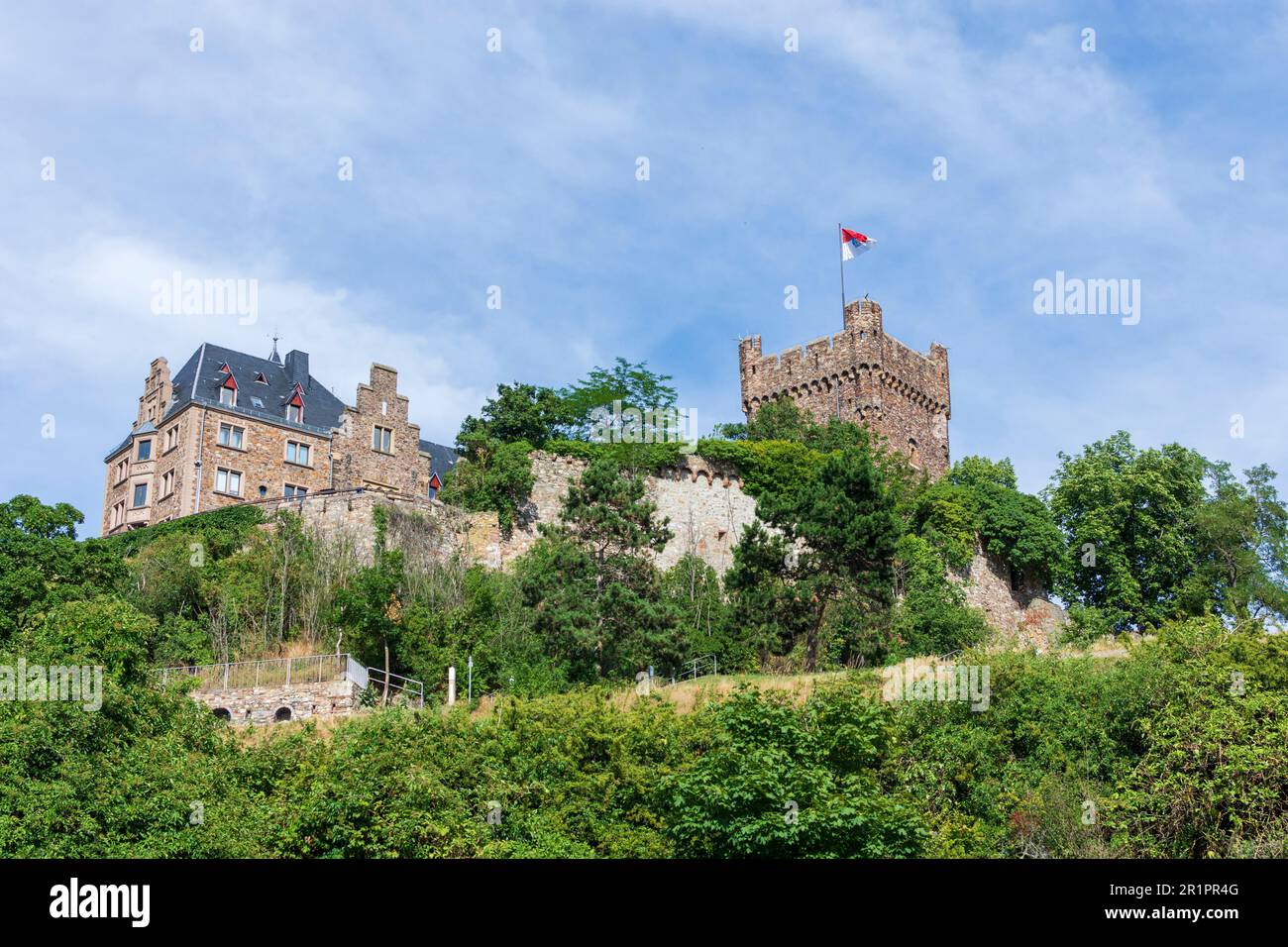 Bingen am Rhein, château de Burg Klopp, aujourd'hui Hôtel de ville à Rheintal, Rhénanie-Palatinat, Allemagne Banque D'Images