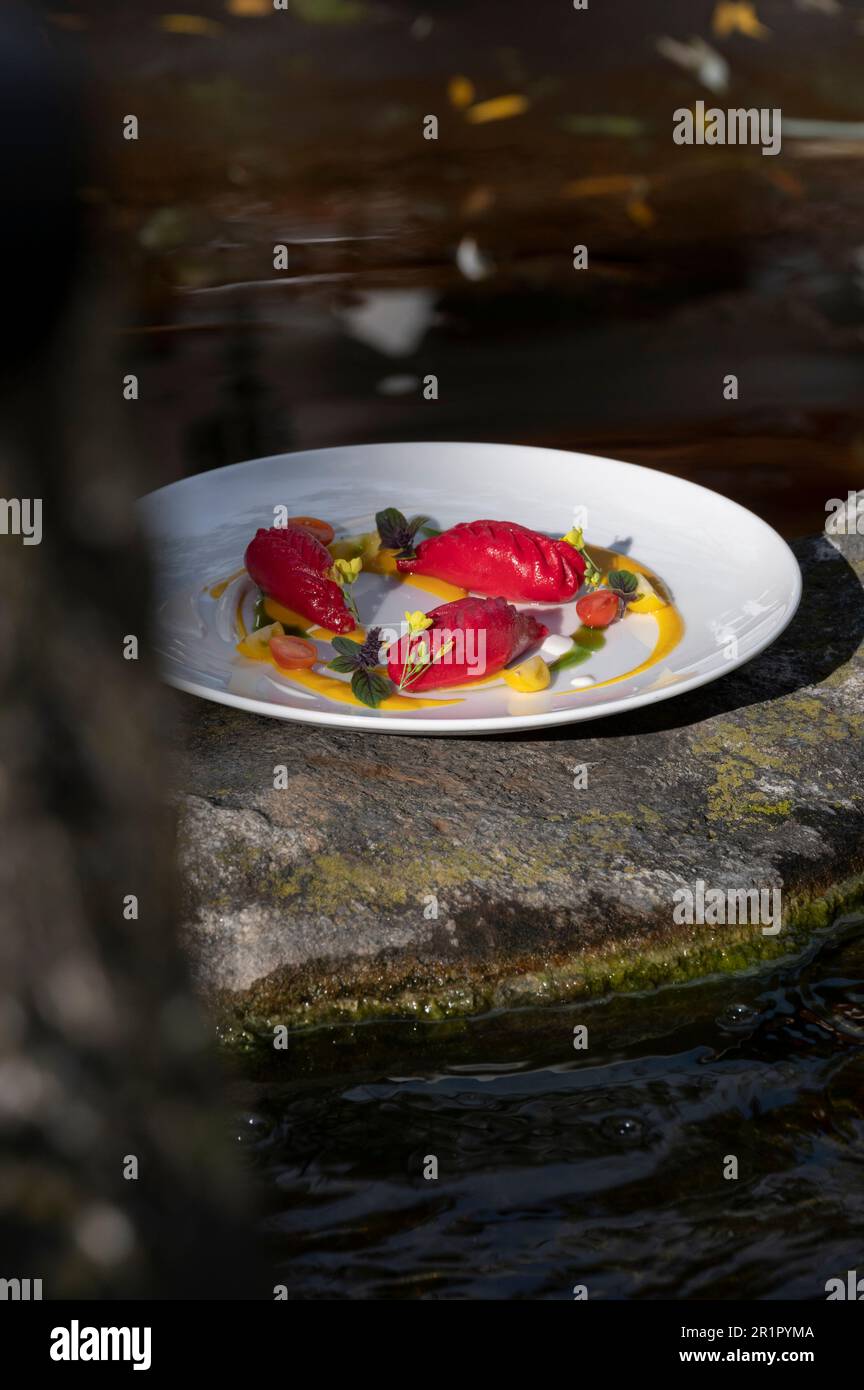 Italie, Trentin-Haut-Adige, Haut-Adige - Tyrol du Sud, cuisine végétalienne avec des ingrédients sans produits d'origine animale, Vinschgau, Naturns, Vega Hotel 'la Vimea' von Chef Luca Sordi, Culurgiones Banque D'Images