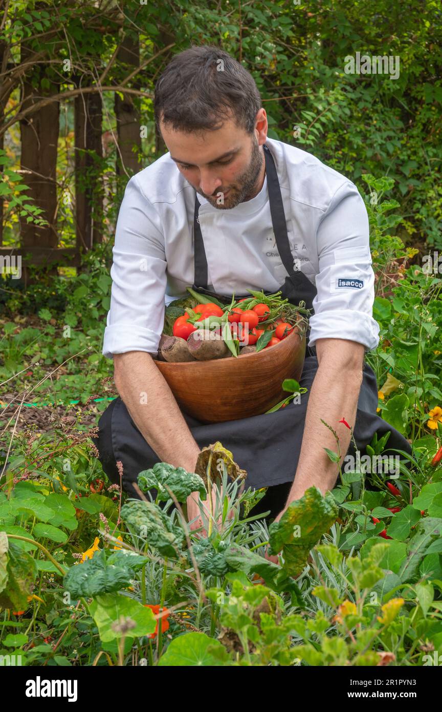 Italie, Trentin-Haut-Adige, Haut-Adige - Tyrol du Sud, cuisine végétalienne avec des ingrédients sans produits d'origine animale, Vinschgau, Naturns, Hôtel Vega 'la Vimea', Chef Luca Sordi Banque D'Images