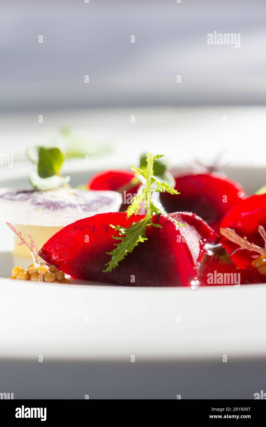 Italie, Trentin-Haut-Adige, Haut-Adige - Tyrol du Sud, Merano, Castel Fragsburg, Restaurant Prezioso von Chef de cuisine Egon Heiss, cuisine végétalienne avec des ingrédients sans produits d'origine animale, poches de betteraves et plat froid aux pommes, moutarde verte Banque D'Images