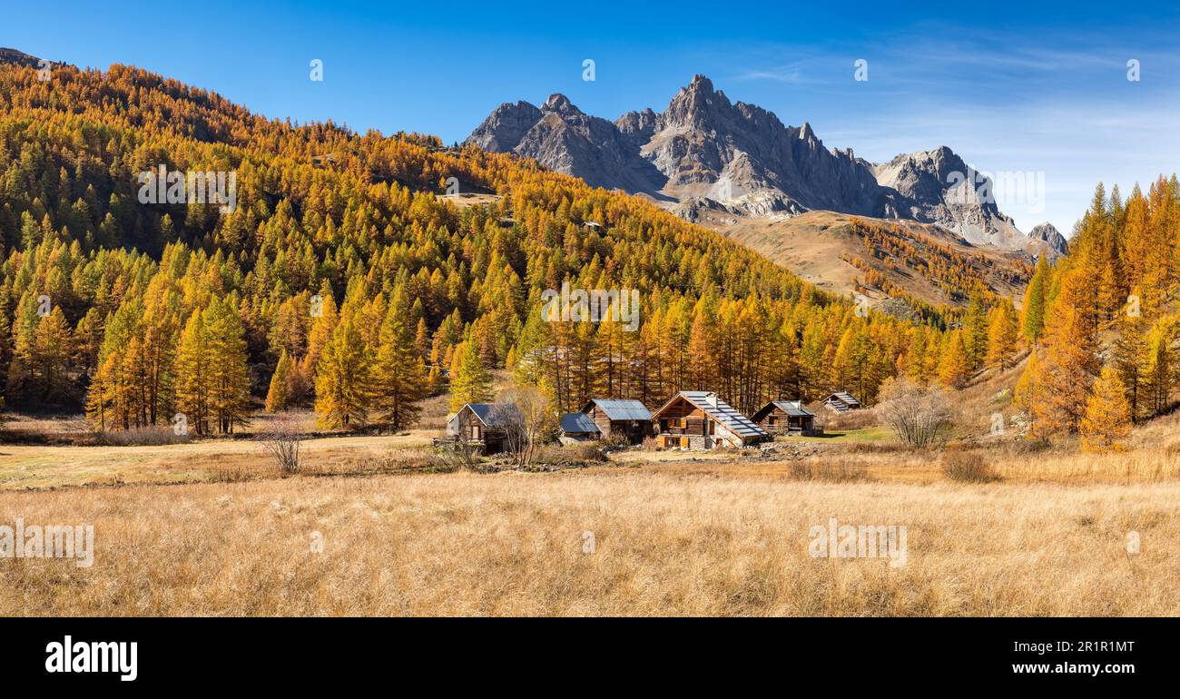 Vallée de Claree aux couleurs automnales avec vue sur le massif des Cerces. Mélèze et forêt près de Nevache, Hautes-Alpes. Alpes, France Banque D'Images