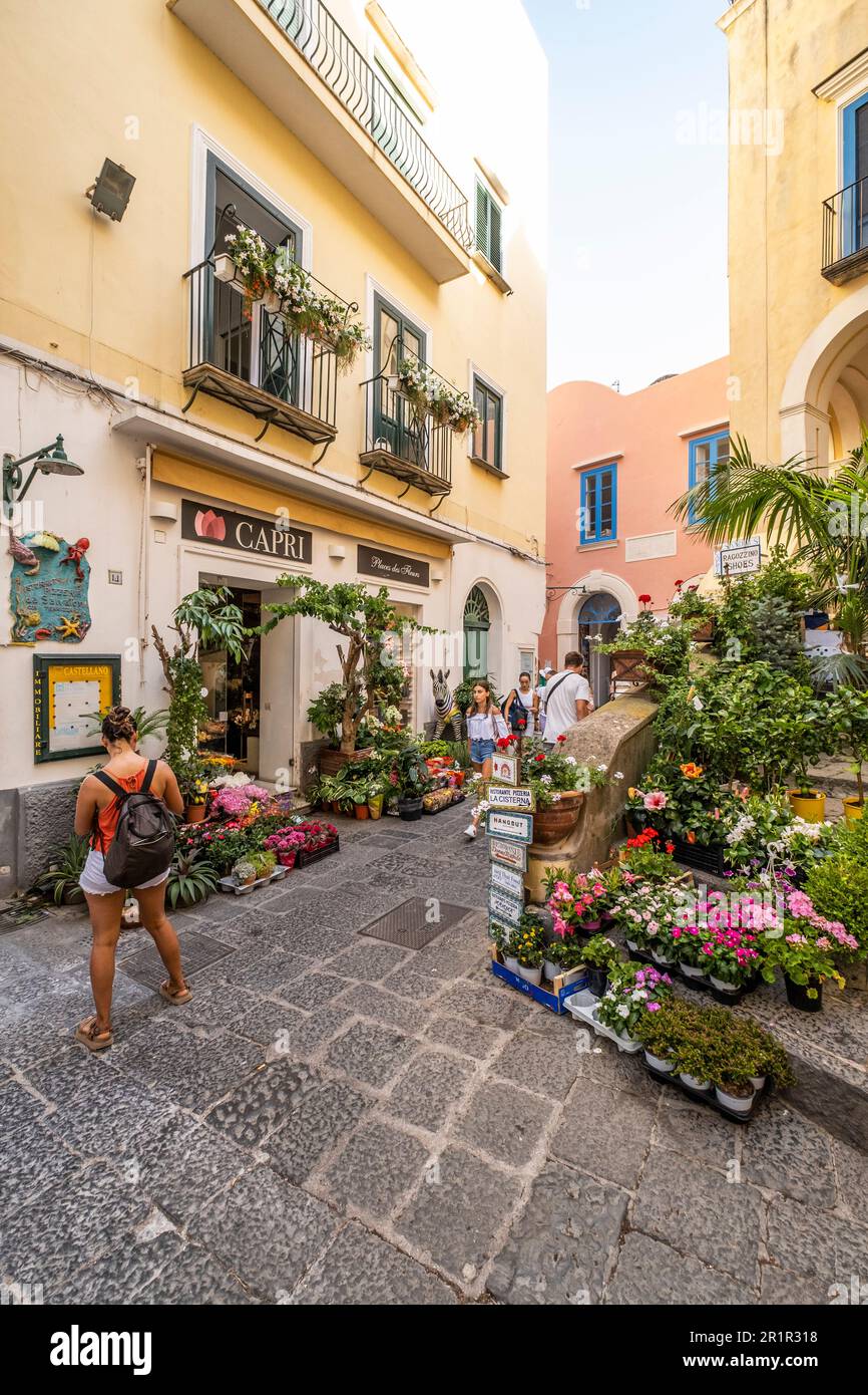 Fleuriste près de la Piazzetta, Capri, Capri, Golfe de Naples, Campanie, Italie, Europe Banque D'Images