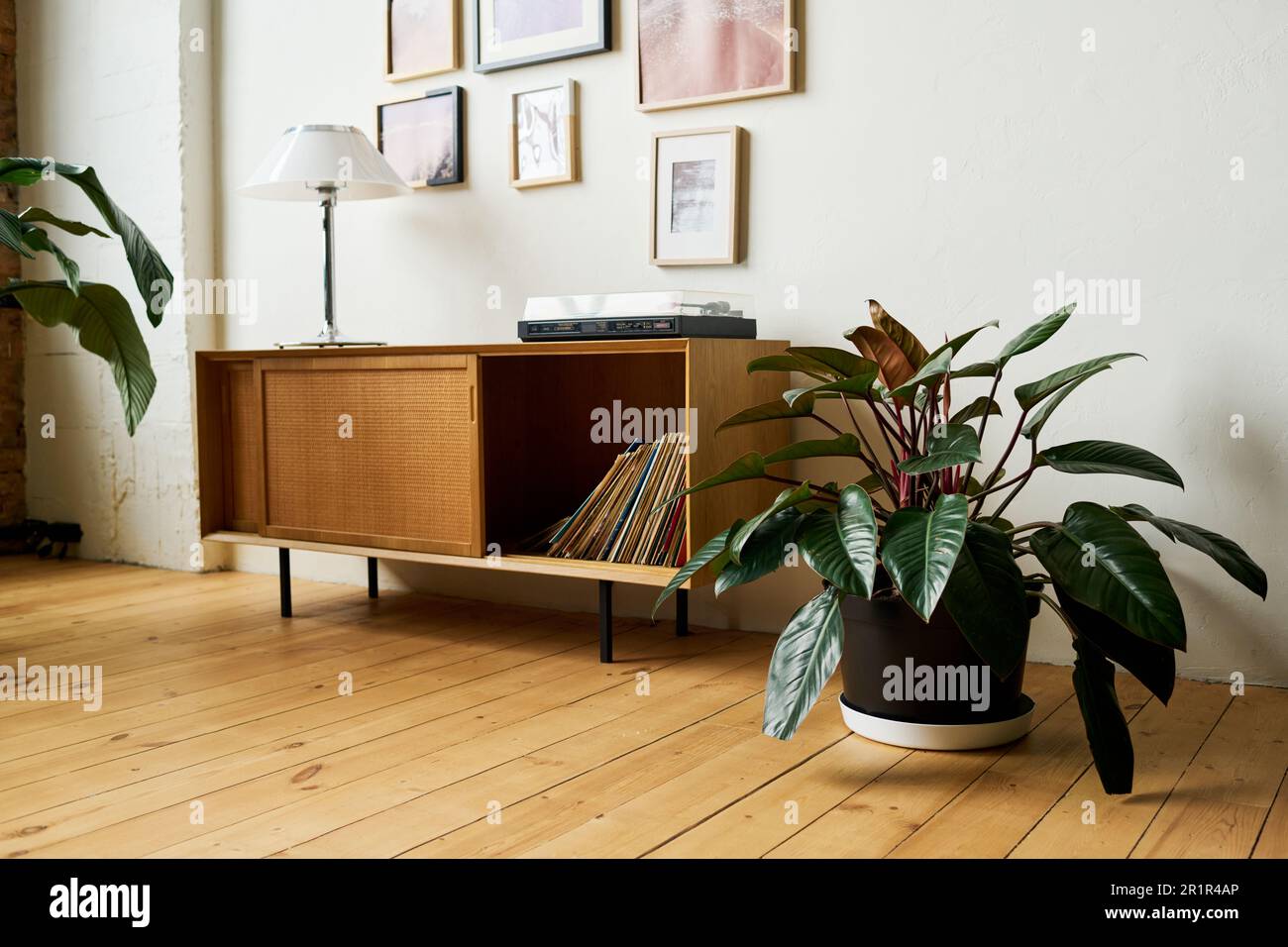 Partie d'une chambre ou d'un bureau spacieux avec des plantes vertes dans des pots de fleurs debout sur le plancher et lampe sur la table de console avec disques en vinyle dans le tiroir Banque D'Images