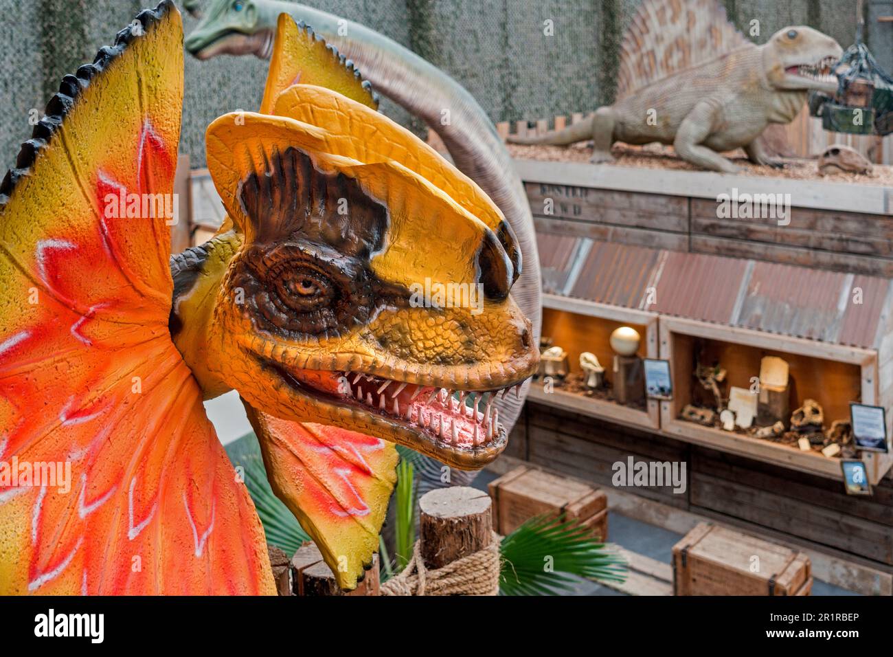 Des répliques de dinosaures géants exposées au zoo tropical de Berkenhof, parc d'attractions et d'animaux près de Kwadendamme, Zeeland, pays-Bas Banque D'Images