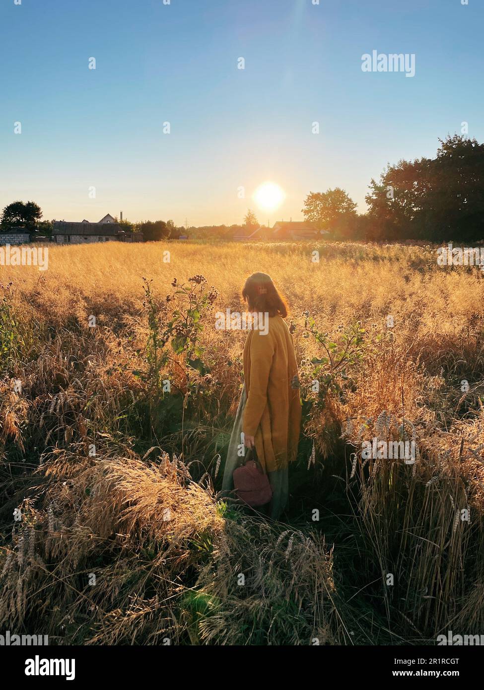 Femme marchant dans un champ de longue herbe en été, Biélorussie Banque D'Images