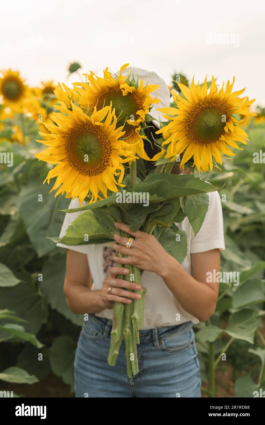 Gros plan d'une femme debout dans un champ de tournesol tenant des tournesols devant son visage, Biélorussie Banque D'Images