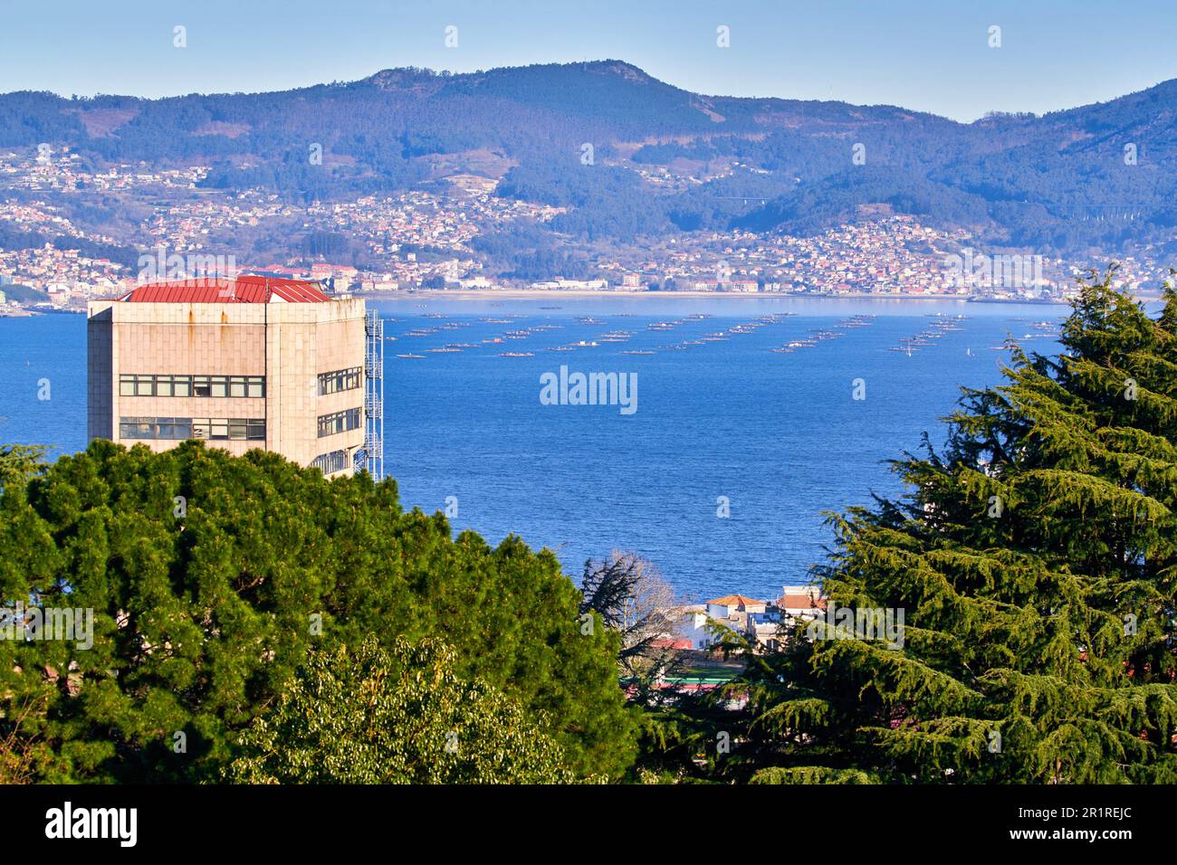 Ria de Vigo, vue du parc Monte do Castro, en arrière-plan des fermes de moules et la municipalité de Moaña dans le Morrazo, Vigo, Pontevedra, Banque D'Images