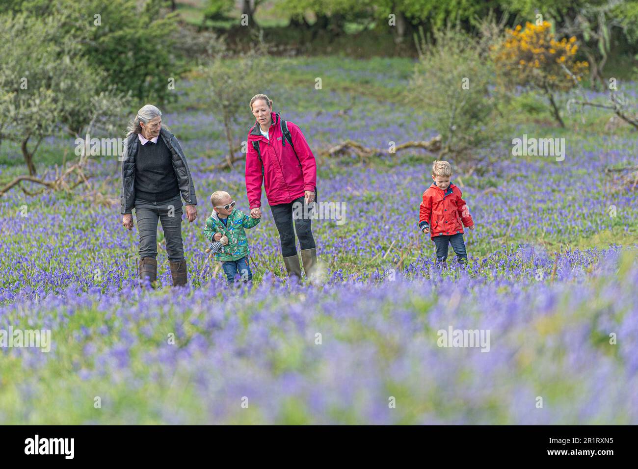 famille marchant dans des cloches Banque D'Images