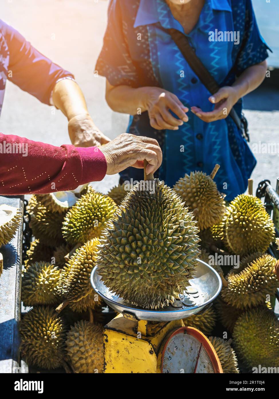 Une femme thaïlandaise âgée vendeur de moto vendant des duriens et des  fruits et des légumes aux touristes au bord de la route. Street Merchant  coupe ouverte et vend chair Photo Stock -