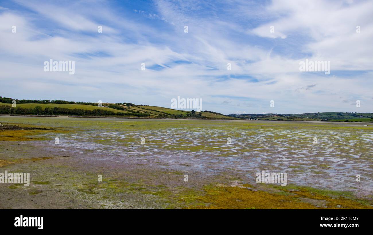 Vastes plaines de marée en Irlande, un jour d'été. Paysage irlandais. Un marais marécageux est un marais qui inonde et draine par le mouvement de marée de l'adjac Banque D'Images