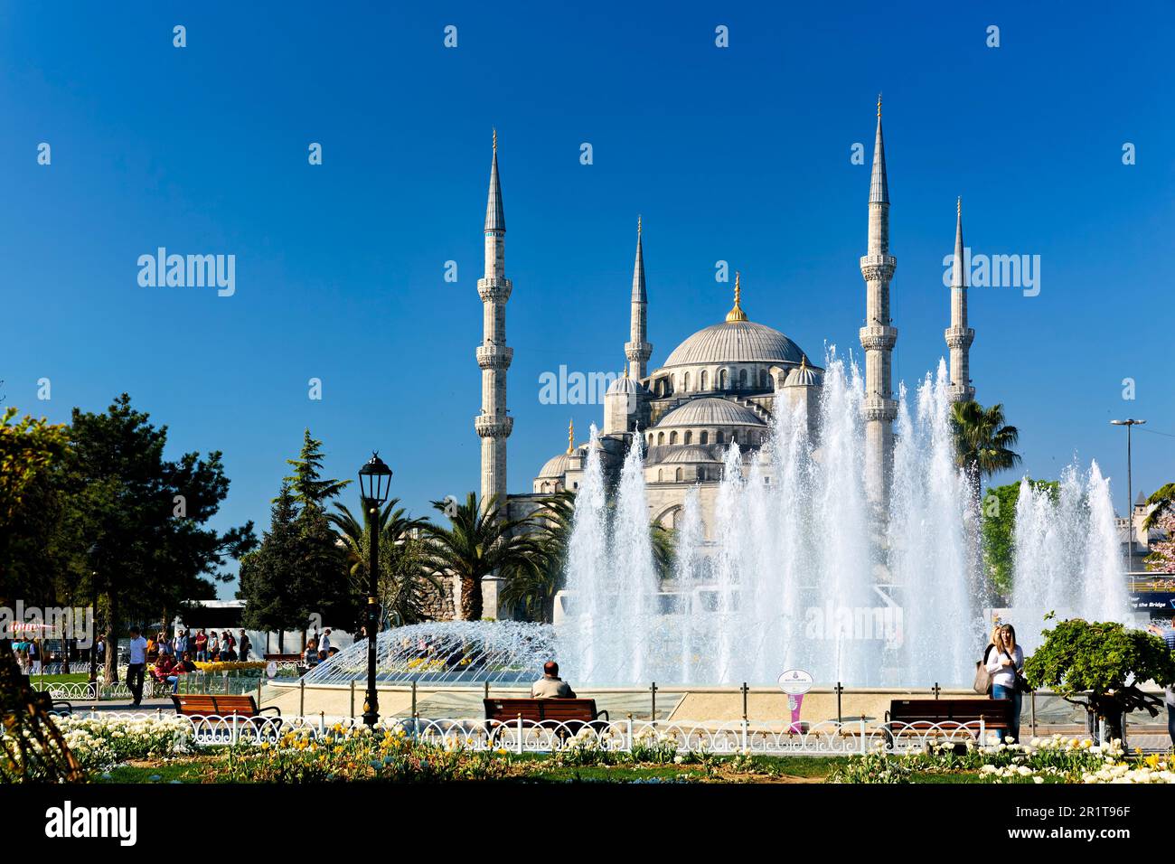 Istanbul Turquie. La Mosquée bleue Banque D'Images