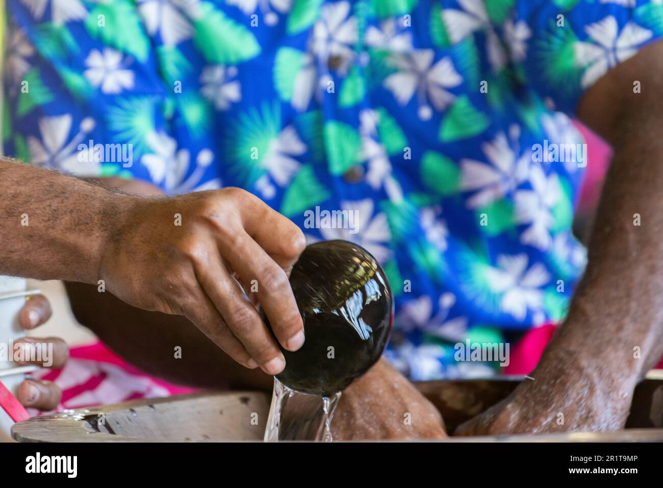 Fidji, Lautoka, village des hautes terres de Yavuna. Cérémonie traditionnelle de kava. Trempez de l'eau de kava avec de la noix de coco. Banque D'Images