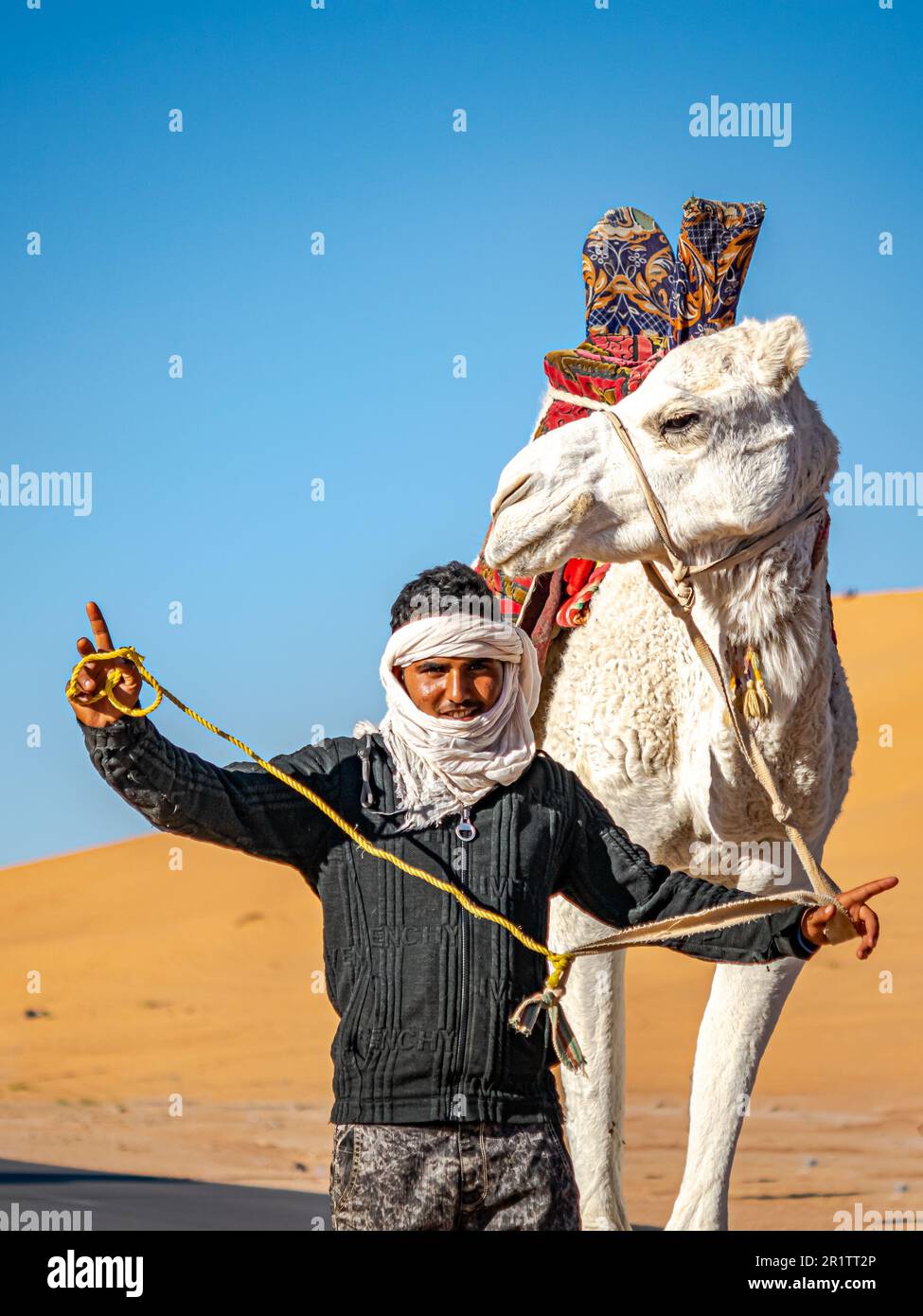 tuareg local marchant et posant avec son dromadaire blanc décoré de toile rouge selle dans le désert du Sahara avec dunes de sable et ciel bleu. Banque D'Images