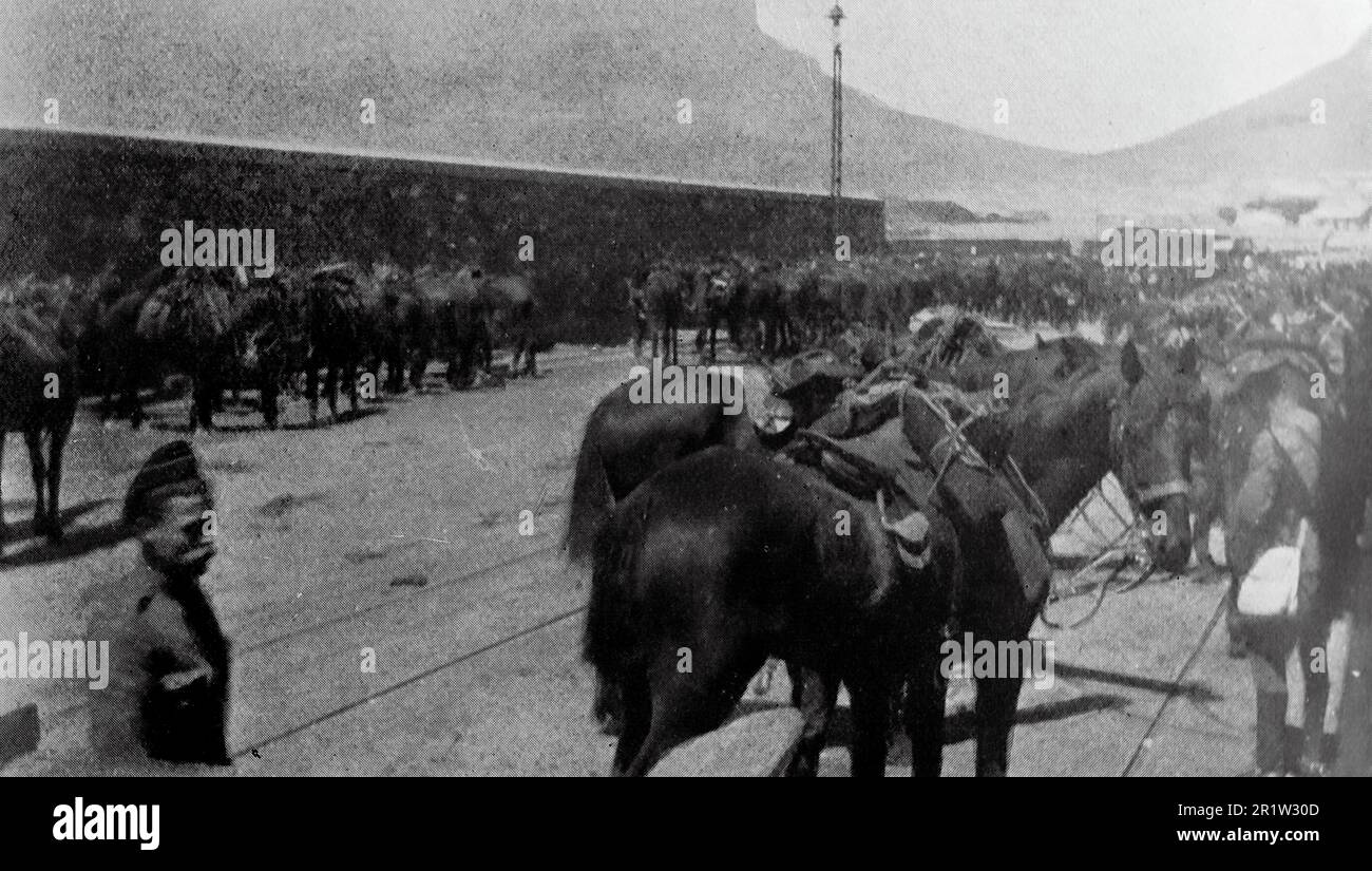 La guerre des Boers, également connue sous le nom de Seconde Guerre des Boers, la guerre sud-africaine et la guerre des Anglo-Boers. Cette image montre: New Zealand Landers: Se préparer à l'enchâtre pour le front. Photo originale de “un officier militaire”, c1899. Banque D'Images