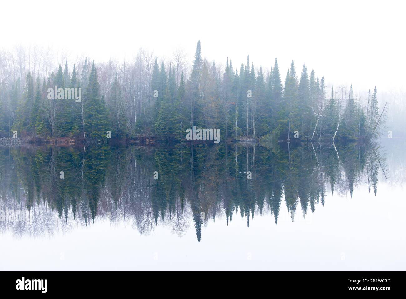Brume matinale sur Day Lake dans la forêt nationale de Chequamegon, dans le nord du Wisconsin. Banque D'Images