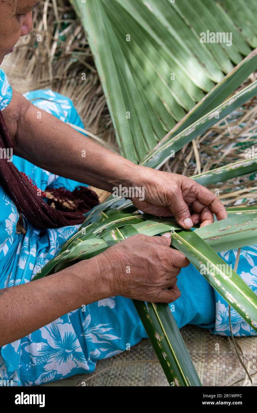 Royaume des Tonga. Ville de Neiafu. Femme locale qui tissage des feuilles de palmier. Banque D'Images