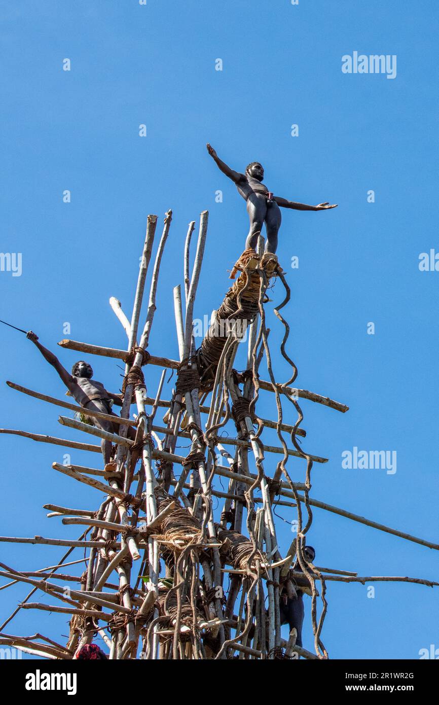 Vanuatu, île de la Pentecôte. Rituel ancien de plongée sur terre. Préparez-vous à sauter. Banque D'Images