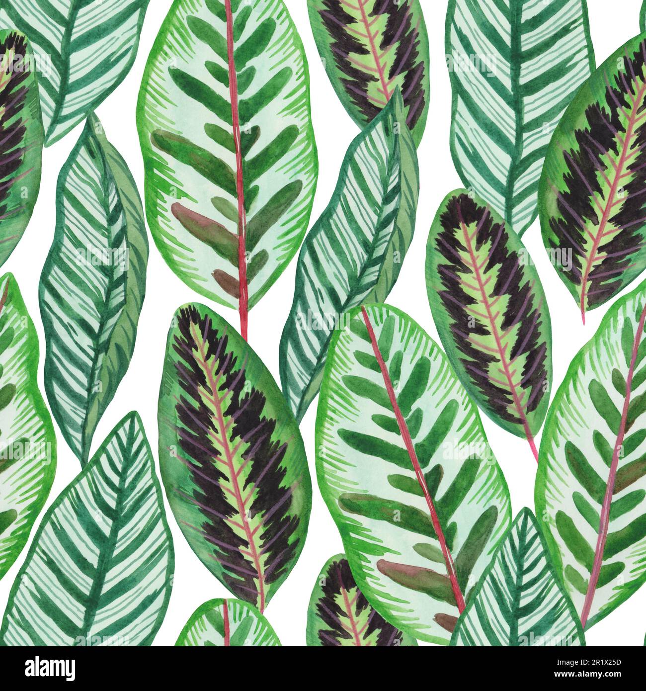 Motif sans couture avec feuilles exotiques de jungle tropicale. Illustration aquarelle dessinée à la main. Banque D'Images