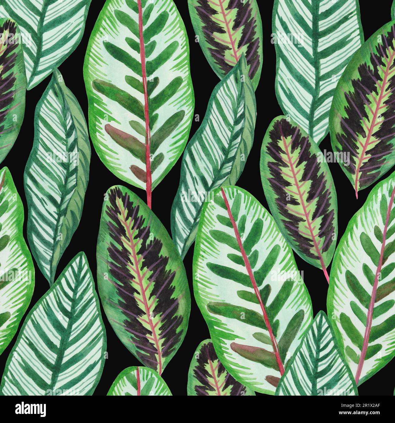 Motif sans couture avec feuilles exotiques de jungle tropicale. Illustration aquarelle dessinée à la main. Banque D'Images