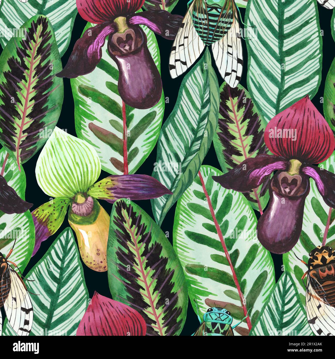 Motif aquarelle sans couture avec feuilles tropicales exotiques, insectes cicada et fleurs d'orchidées. Illustration dessinée à la main Banque D'Images