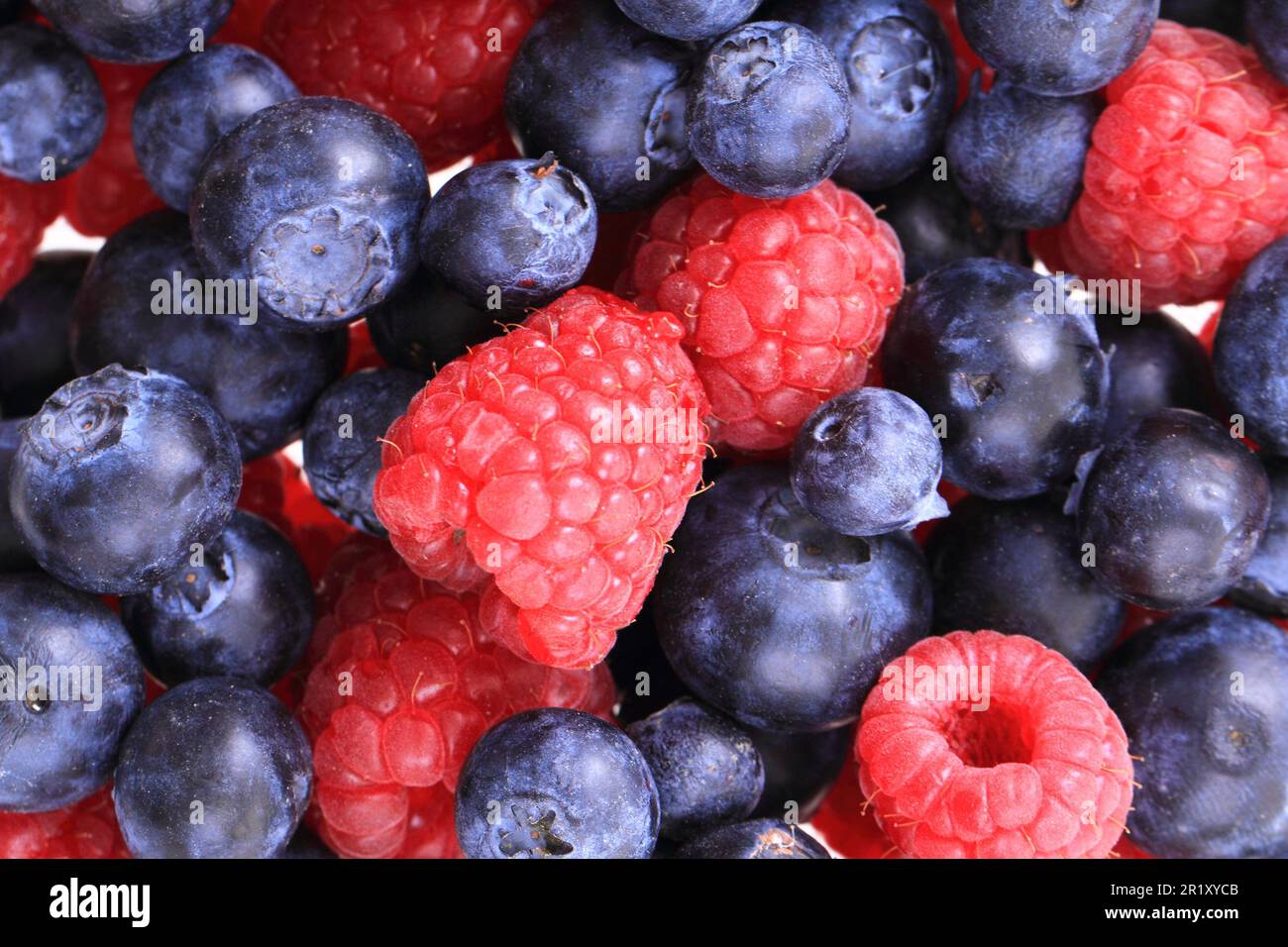 les bleuets et les framboises sont de bons fruits Banque D'Images