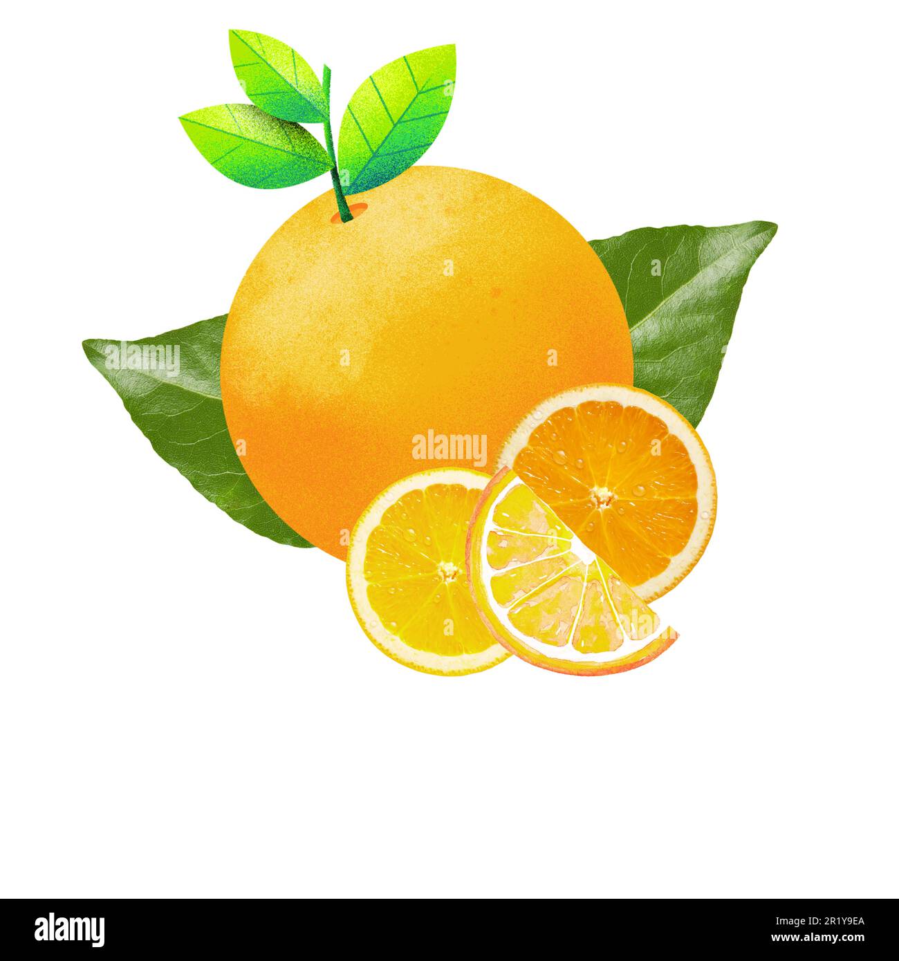 Orange frais et juteux avec des tranches de segments sur fond blanc - agrumes, vitamine C, nourriture saine Illustration de Vecteur