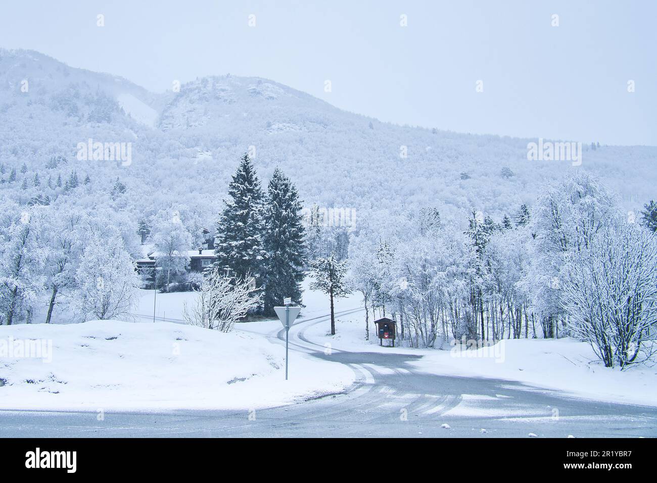Paysage d'hiver en Scandinavie. Avec des arbres enneigés sur une route. Photo de paysage du nord Banque D'Images