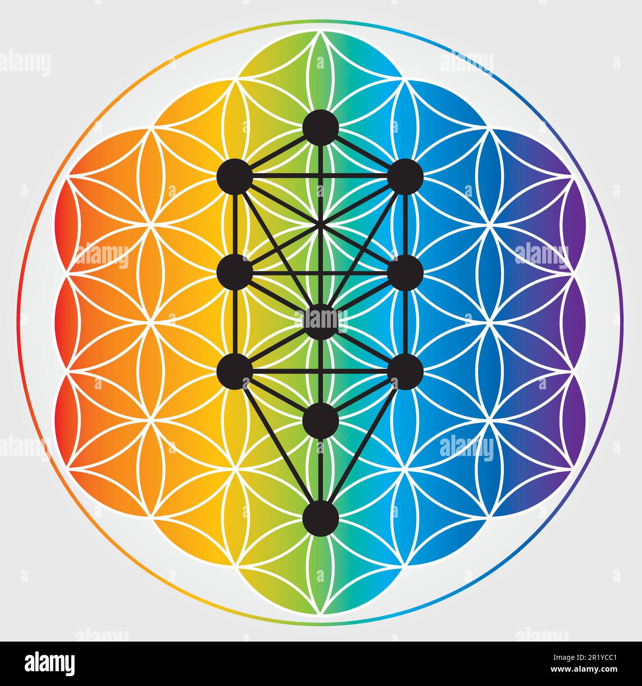 Symbole de la fleur de vie en couleurs arc-en-ciel, roue de l'énergie de l'univers cosmique, arbre de Sephiroth, Kabbalah Illustration de Vecteur