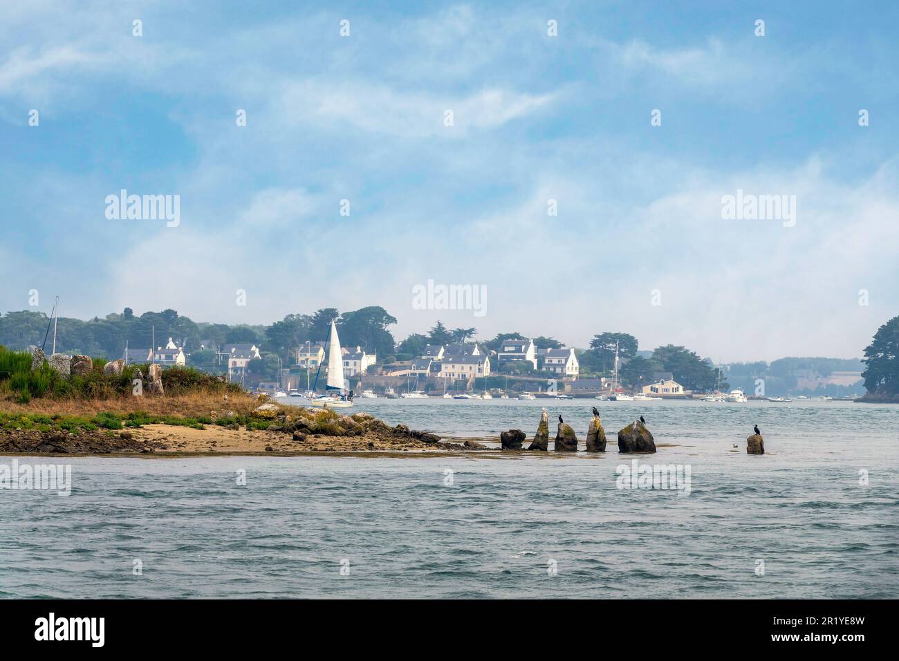Pierres sur l'île d'er Lannic dans le golfe du Morbihan, Bretagne, France Banque D'Images
