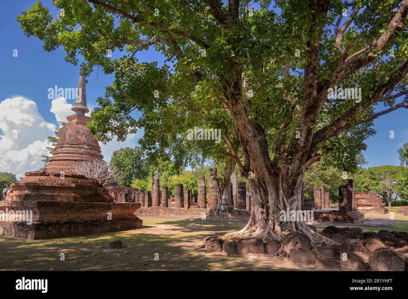 Wat Chang LOM, est un complexe de temples bouddhistes (wat) dans le Parc historique de Sukhothai, province de Sukhothai dans la région nord de la Thaïlande Banque D'Images
